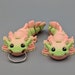 see more listings in the Axolotl und Bärtierchen section