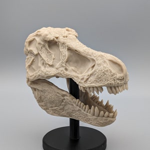 T-Rex Skull Engraved Bones White Skull Tyrannosaurus Skeleton Bones Fossil 3D Print