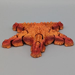 3D-geprinte zeester Beweegbare ledematen 13 cm diameter Unieke decoratie- en cadeau-idee