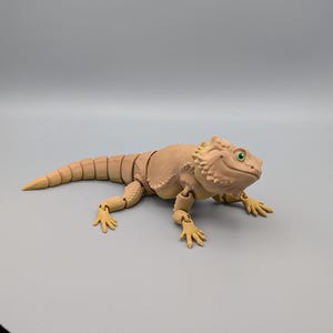 Beweegbare baardagaam houten figuur decoratie schattige baardagaam beweegbaar cadeau reptiel baardagaam 3D print