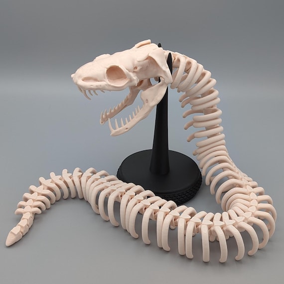 John Alexander Skelton スケルトン サロペット John Alexander Skelton スケルトン サロペット