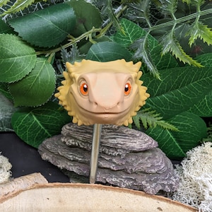 Fridge magnet bearded dragon brown figure decoration cute bearded dragon gift reptile beardie dragon 3D print fridge,