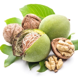 May include: A collection of walnuts in various stages of maturity, including whole brown shells, green husks, a partially opened green husk revealing the shell, and a cracked shell exposing the light tan nut meat, all resting on green leaves.