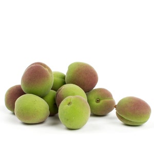 1 LB Fresh Green Apricot, Unripe Apricot, Raw Apricot, Cagla Kayisi