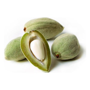 From USA , Unripe Almonds, Green Almonds, Fresh Green Almonds, Green Cagla Fruits, Raw Almonds