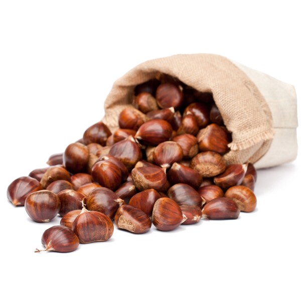 Fresh, Premium Quality Italian Chestnuts | Tender, Easy Peel ,Large, Aromatic, Delicious Chestnuts Imported from Italy | Raw Fresh Chestnuts