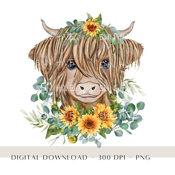 Highland Cow With Sunflowers PNG Sunflower Sublimation - Etsy