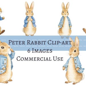 Pode incluir: Clip art em aquarela com seis ilustrações de Peter Rabbit em várias poses. Cada coelho usa um casaco azul. O texto inclui "PETER RABBIT CLIP-ART", "6 IMAGES" e "COMMERCIAL USE".