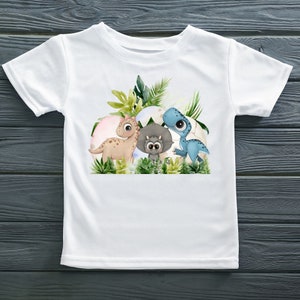 May include: White t-shirt with a graphic of three cartoon dinosaurs in eggs surrounded by green leaves. The dinosaurs are a brown stegosaurus, a gray triceratops, and a blue velociraptor.
