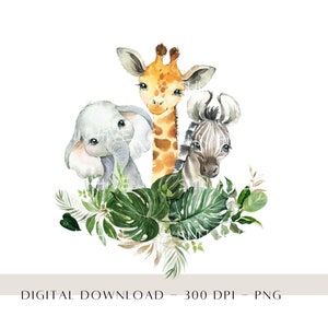 Tropische jungle safaridieren, kinderen sublimatie PNG, babyshower uitnodigen clipart, jungle verjaardag decor, baby dieren taart topper downloaden