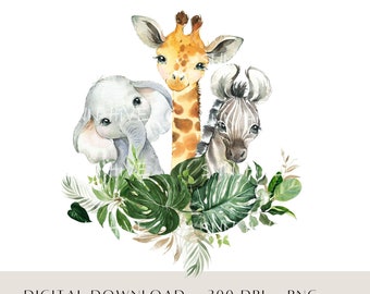 Safari Tiere PNG Clipart, Aquarell Baby Dschungeltiere PNG, Safari Baby Dusche Clipart, Dschungel Kindergarten Tiere Grafik, Safari Tiere