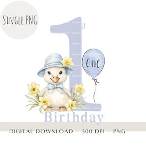 Cute Gosse 1st Birthday PNG, Spring Floral PNG, Birthday Card Design, Printable PNG, One Birthday Sublimation, Cake Topper Décor Download