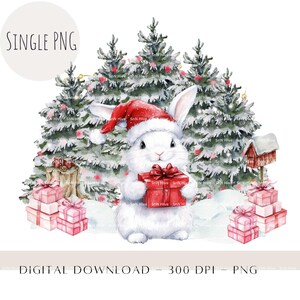 Woodland Winter Nikolausmütze weißes Häschen Weihnachten PNG, Weihnachtsdekor PNG, Kinder Sublimationsdesign, Ornament, Strumpf Design Sofort-Download