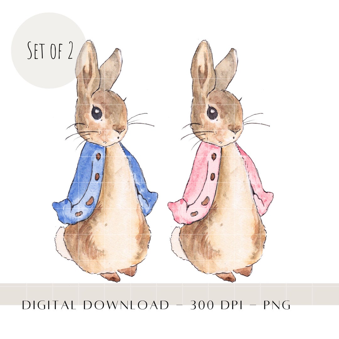 Cute Pink and Blue Rabbit PNG, Sublimation Design, Storybook Easter ...