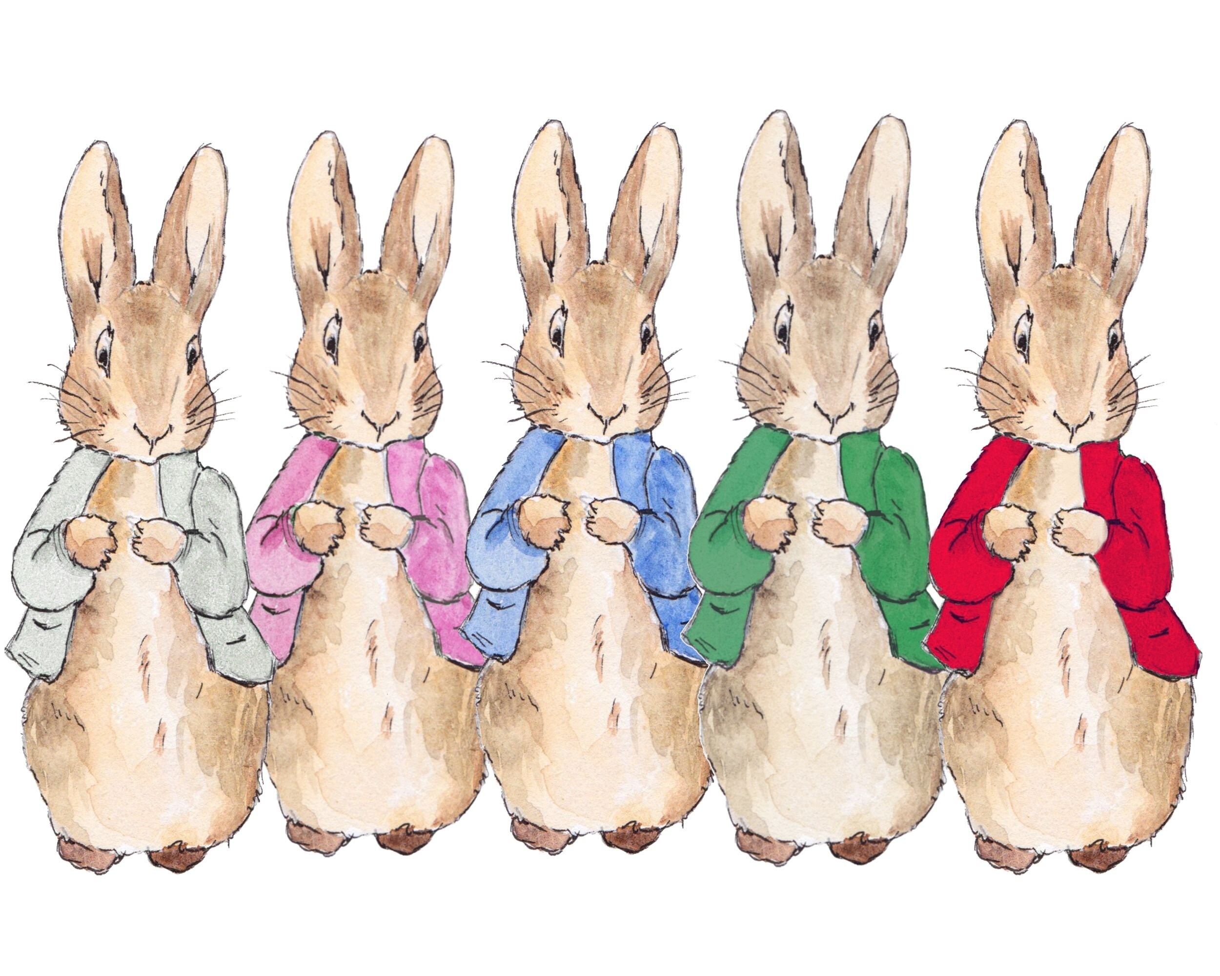 Flopsy Bunny PNG Peter Rabbit Clip Art Peter Rabbit - Etsy UK