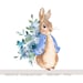 see more listings in the Peter Rabbit PNG section