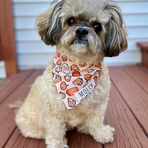 Op de afbeelding: Een kleine, pluizige hond draagt een roze en oranje bandana met een pompoen- en taartpatroon. Op de bandana staat de naam "Molly". De hond zit op een houten terras.