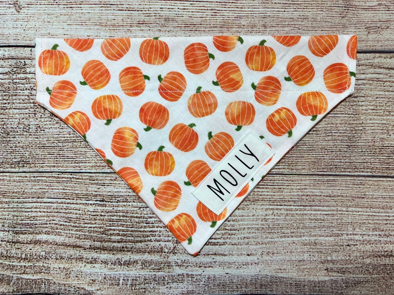 Op de afbeelding: Witte driehoekige bandana voor honden met een patroon van oranje pompoenen. Een klein wit label met de naam "MOLLY" is op de bandana genaaid. De bandana is gemaakt van stof.
