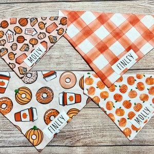 Op de afbeelding: Vier hondenbandana's met herfstpatronen. E&eacute;n heeft pompoenen en taart, een andere oranje ruit, een derde donuts en koffie, en de laatste pompoenen. Elke bandana heeft een naamlabel: Molly of Finley.