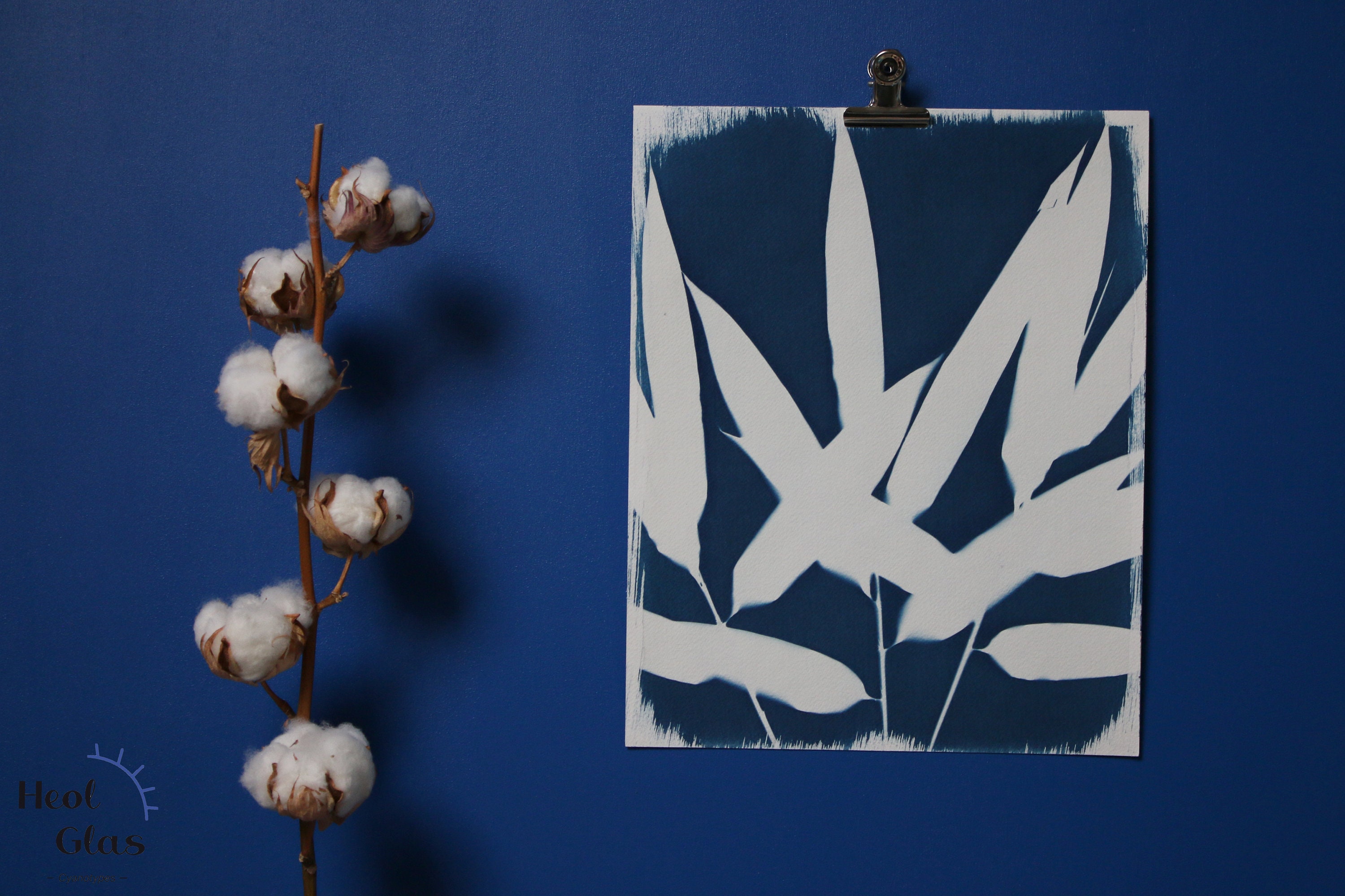 Cyanotype/Bambou 24x30 cm