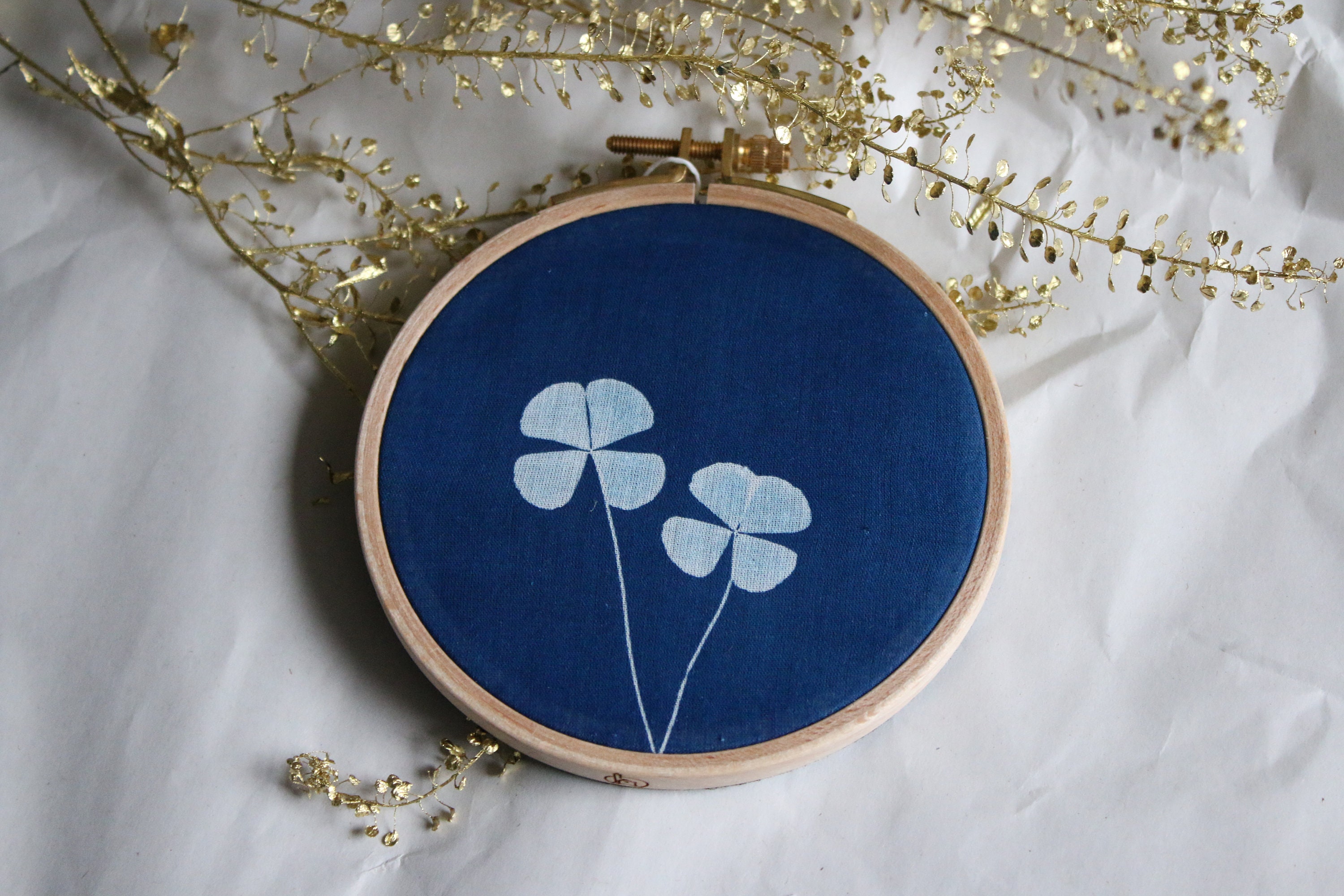 Cyanotype sur Tambour/Trèfles à 4 Feuilles #1