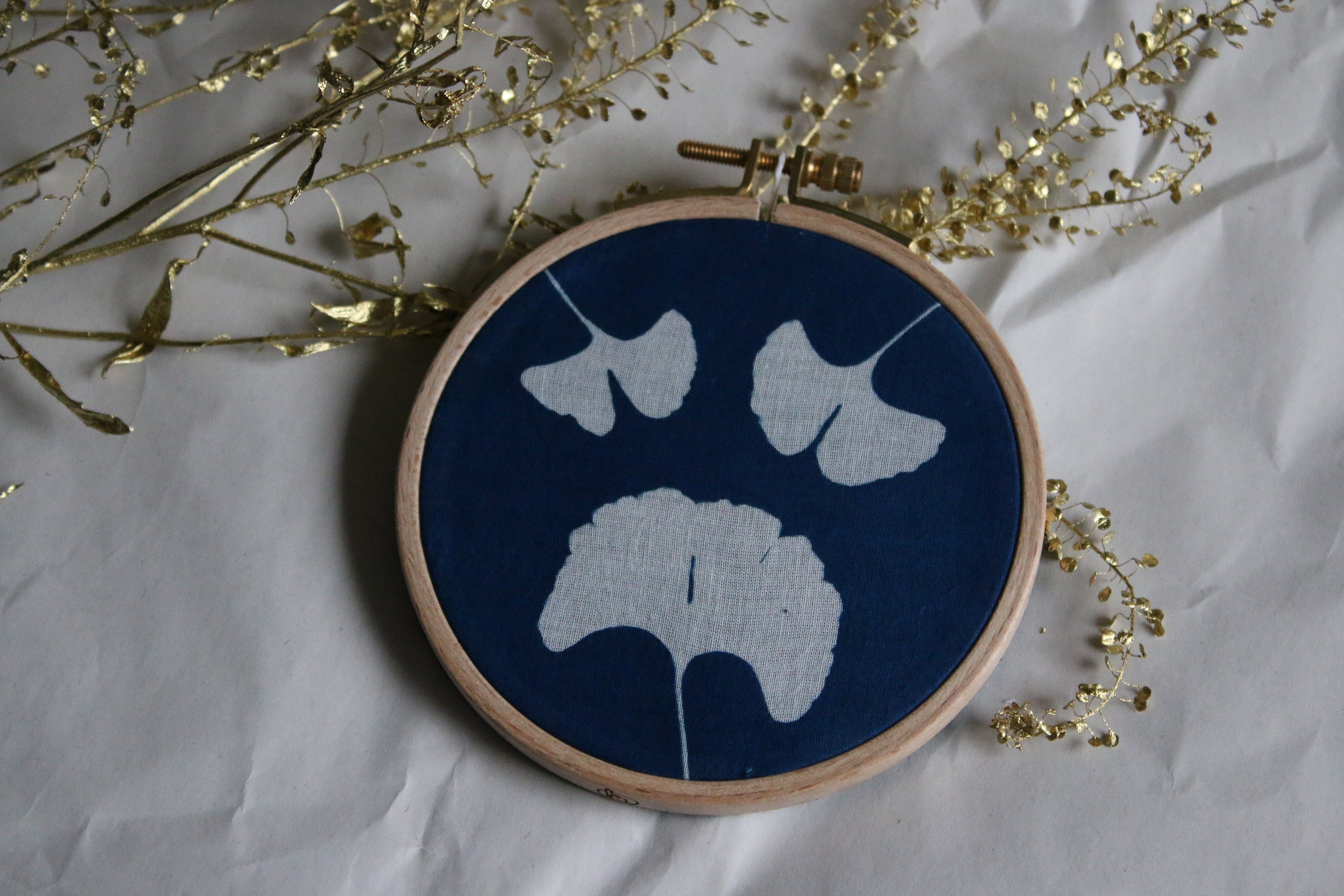 Cyanotype sur Tambour/Gingko #2