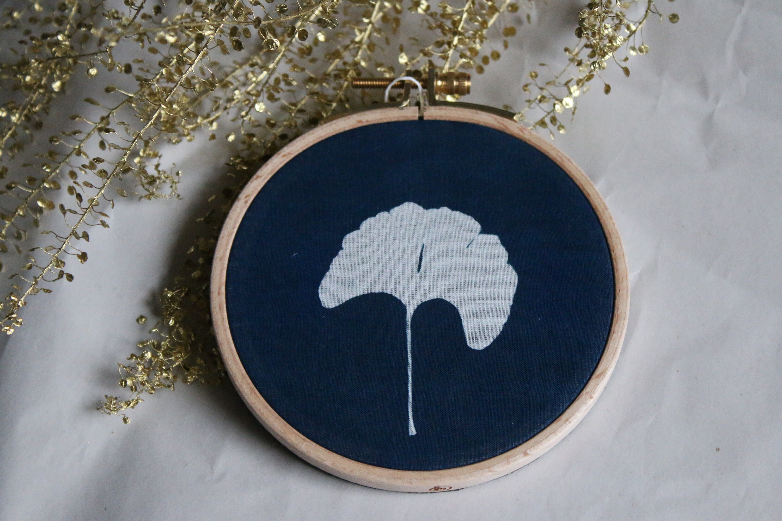 Cyanotype sur Tambour/Gingko #1