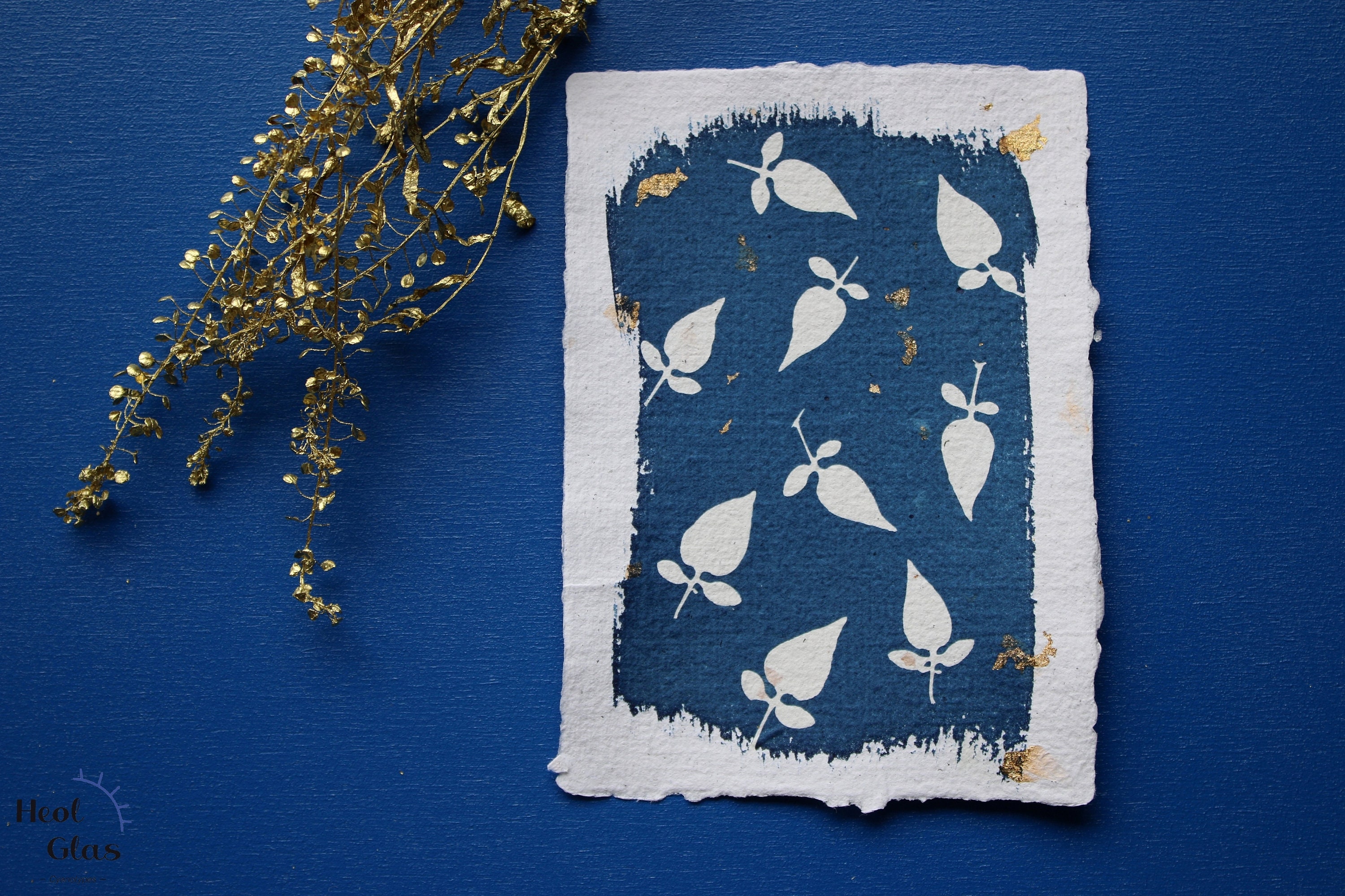 Cyanotype/Inclusions Or Douce-Amère