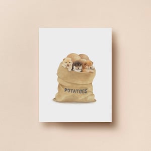 Patatas Cachorro Shiba Inu Postal