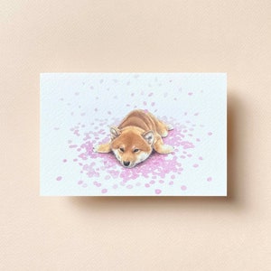 Carte postale Shiba Inu en fleurs de cerisier
