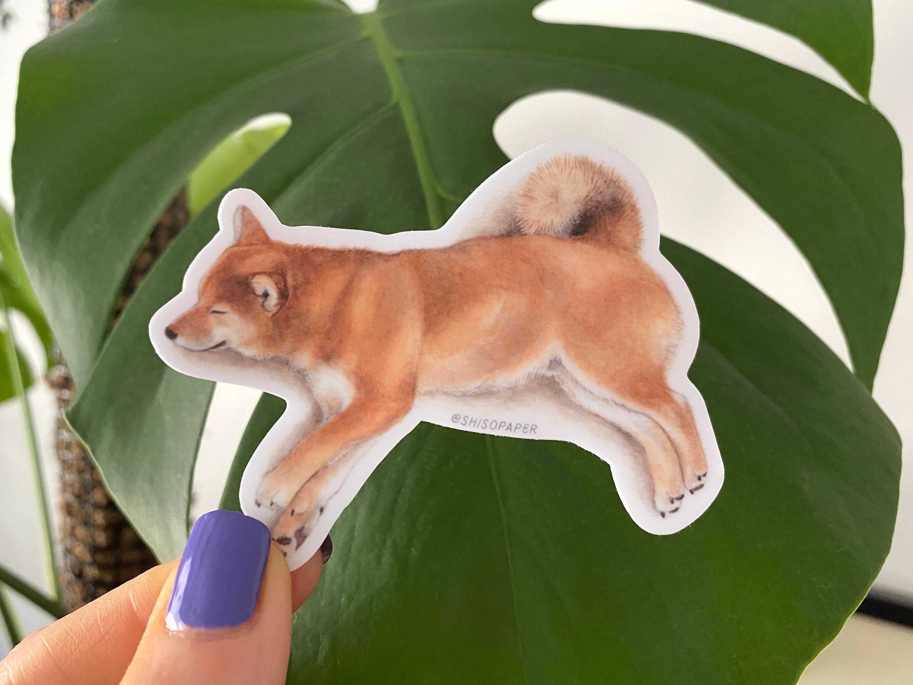 Shiso Shiba Inu Airplane Ears Sleeping Red Shiba Inu Vinyl Sticker