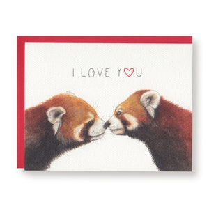 Panda roux, je t'aime Carte de vœux