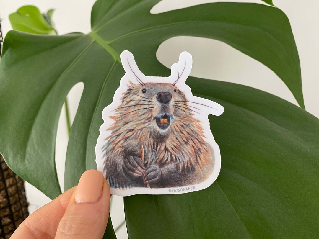 Beaver Sticker, Waterproof, Die-cut Vinyl Sticker - Etsy