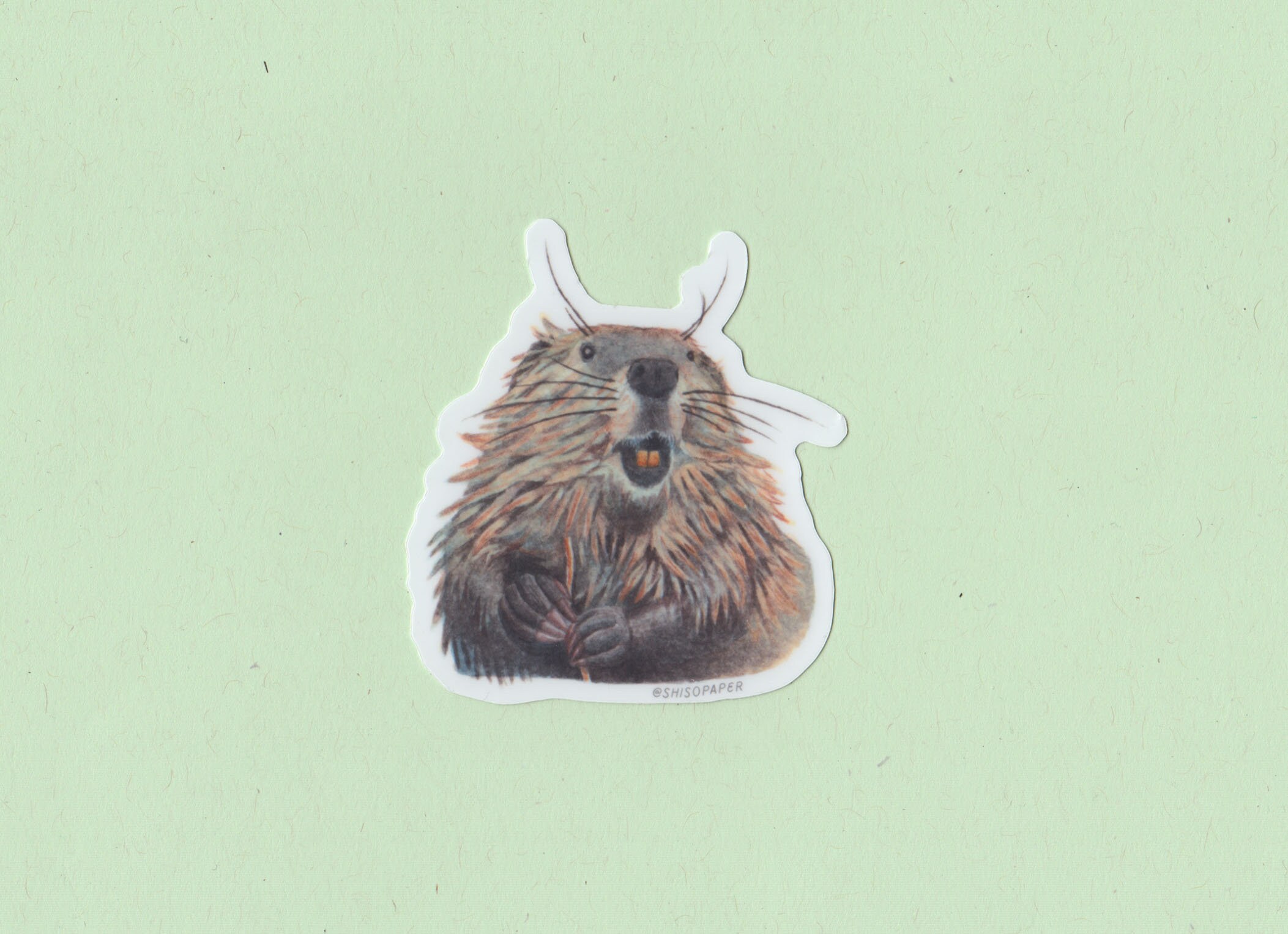Beaver Sticker, Waterproof, Die-cut Vinyl Sticker - Etsy
