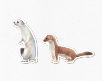 Ermine, Stoat Sticker, Waterproof, Die-cut Vinyl Sticker
