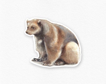 May include: A watercolour illustration of a brown and white wolverine sitting on a white background.