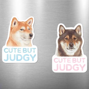 Shiba Inu Magnet - Cute But Judgy, Waterproof, Weatherproof