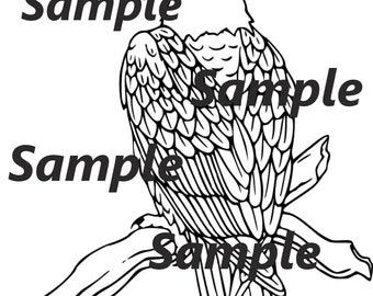 Eagle Coloring Page Etsy