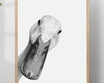 Duck Poster Print Black and White Photo Nursery Farm Animal Wall Art Modern Minimalist Home Decor Duck Portrait Gift for Animal Lovers