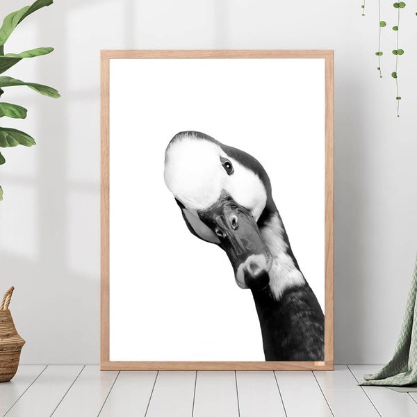 Duck Poster Print Black and White Photo Duck Wall Art Poster Nursery Farm Animal Duck Poster Duck Decor Duck Portrait Gift for Animal Lovers