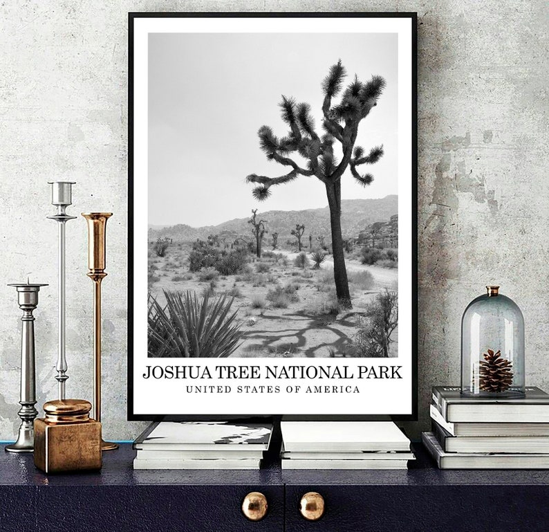 Joshua Tree National Park Travel Print Desert Black and White Photo
