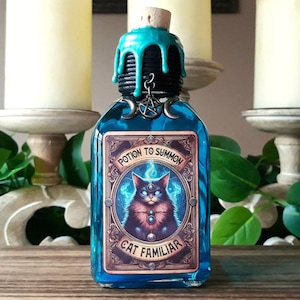 Potion pour invoquer un familier chat - Bouteille de potion magique décorative interactive sur le thème des chats / Décoration fantastique / Décoration wicca / Amoureux des chats