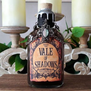 May include: A glass bottle containing a dark liquid. The bottle has a silver and black metal top with a decorative chain and a large gemstone. The label reads "Enter the Vale of Shadows Grants Passage into the Shadow Plane".