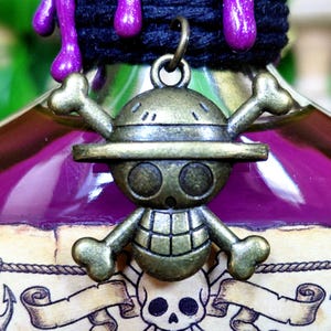 Devil Fruit Elixir - A Color Changing Decorative Anime Themed Potion Bottle image 5