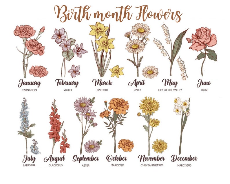 May include: A chart showing the birth month flowers. Each month is represented by a flower with its name and common name listed below. The flowers are illustrated in a vintage style.