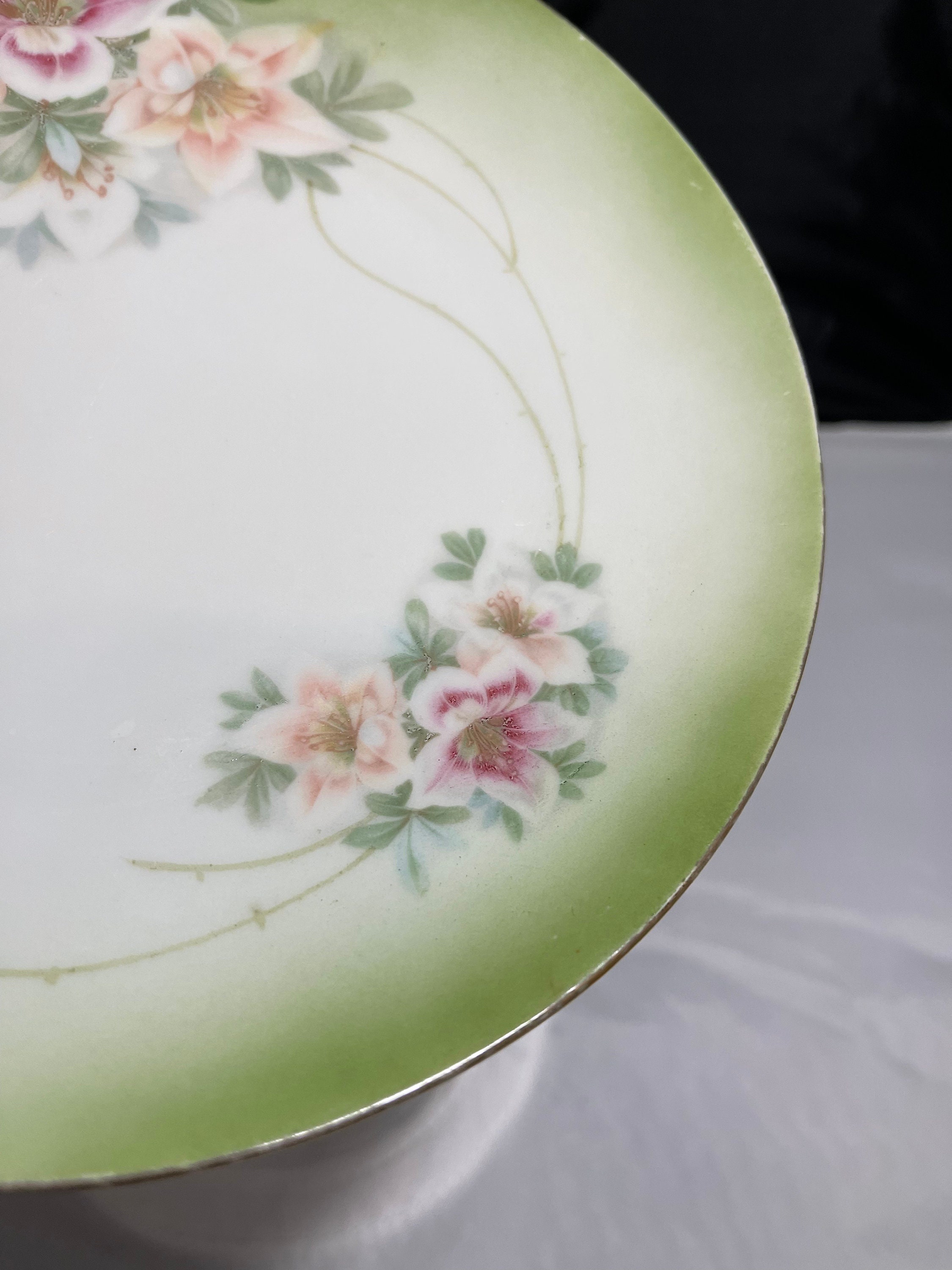 Hand painted German porcelain plate with green floral scene by Etsy