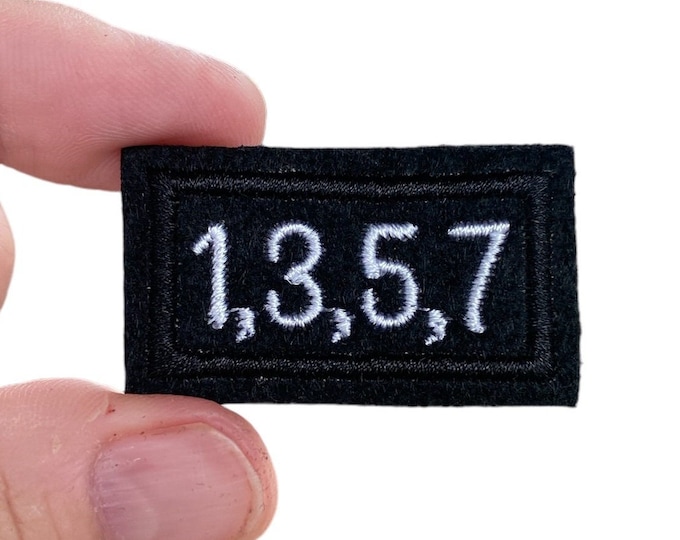 Cheerleader Embroidered Iron-On Patch - '1,3,5,7'