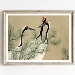 Vintage illustration of red-crowned cranes print by Kamisaka Sekka, Japanese old print, vintage art, digital art, Asian art, rustic decor