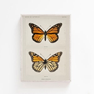 Retro Wall Art, Vintage Butterfly Wall Art, Vintage Art, Modern Wall Art, Vintage Print, Butterfly Print, Nursery Decor, dorm room wall art