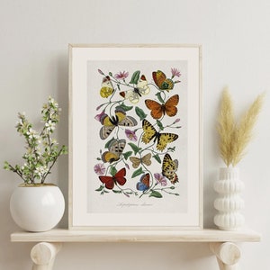 Retro Wall Art, Vintage Butterfly Wall Art, Vintage Art, Modern Wall Art, Vintage Print, Butterfly Print, Nursery Decor, dorm room wall art